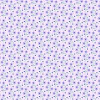 dsStella-D3909 CORAL
